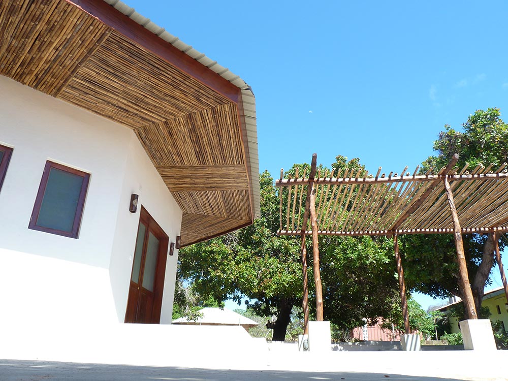 detalhe do tecto com bamboo