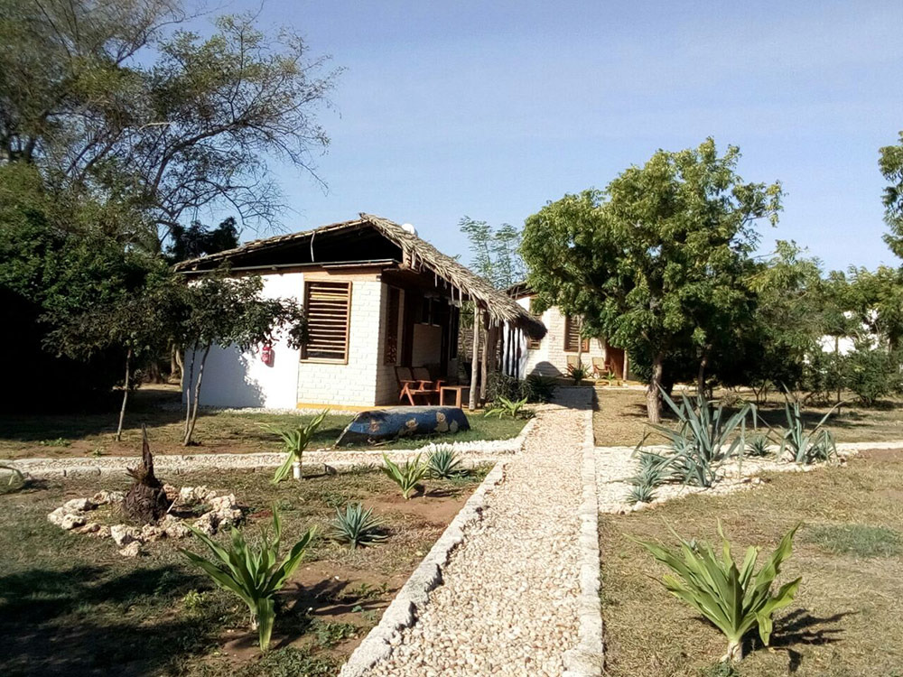 zona ajardinada